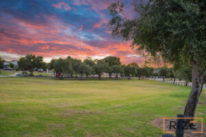 20-Oliveri-St-Sinagr_0ce6-3400-3a95-ed7c-363f-989d-6968-ea1a_20260312111742