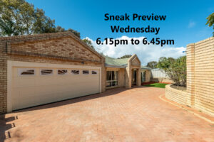 Sneak-Preview_6f64-379b-5ec3-72c9-7117-f4bb-88ed-94d8_20260323032839