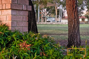 25-Ollera-Meander-Ca_7be6-791c-f4ee-f9c2-b592-36fa-ce2a-d808_20260402011712