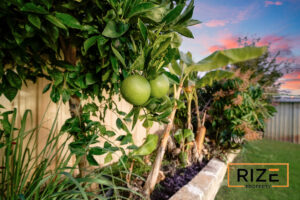 33-Balladong-Loop-Ca_fe3c-5247-f56e-5947-cda5-d201-e9e5-1526_20260407032158